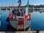 Immagine 7