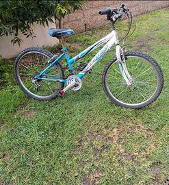 Bicicletta