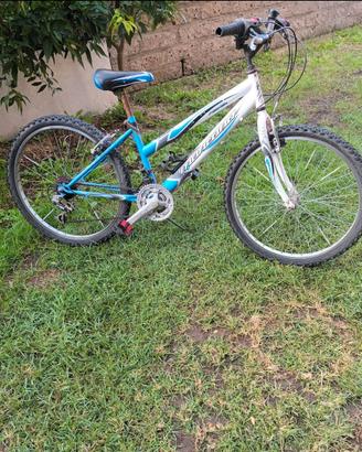 Bicicletta