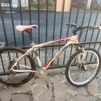 Biccletta mountain bike