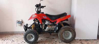 quad 110 4t 