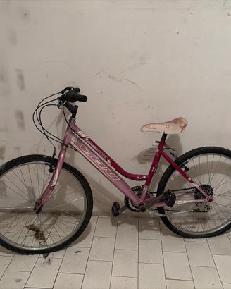 Bicicl