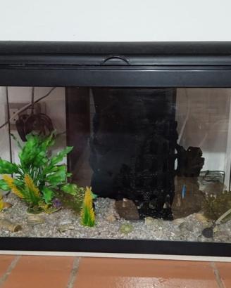 Acquario in vetro