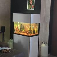Acquario 200 litri e 250 litri
