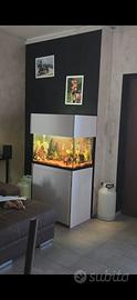 Acquario 200 litri e 250 litri