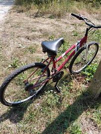 Bicicletta Mountain Bike