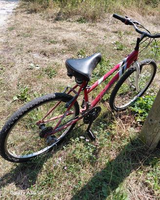 Bicicletta Mountain Bike