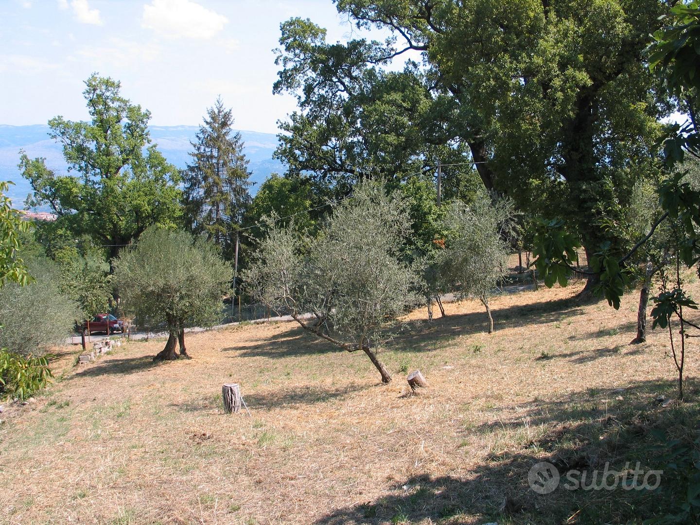 Terreno con casa da ristrutturare - Vista 3