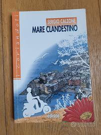 Mare clandestino 