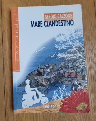 Mare clandestino 