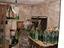 Immagine 14