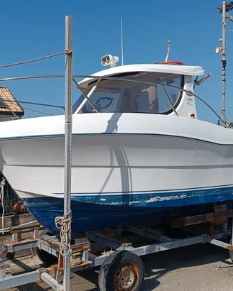 Arvor 215