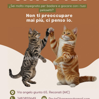 Cat Sitter con esperienza: tanto amore