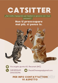 Cat Sitter con esperienza: tanto amore