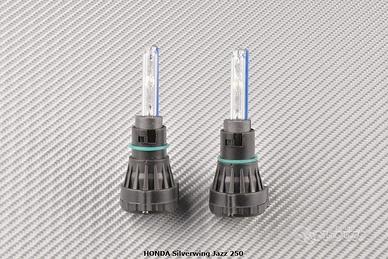 Kit Xeno per HONDA Silverwing Jazz 250 STANDARD