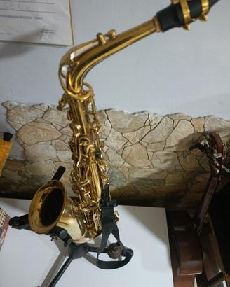 sax alto  centuri