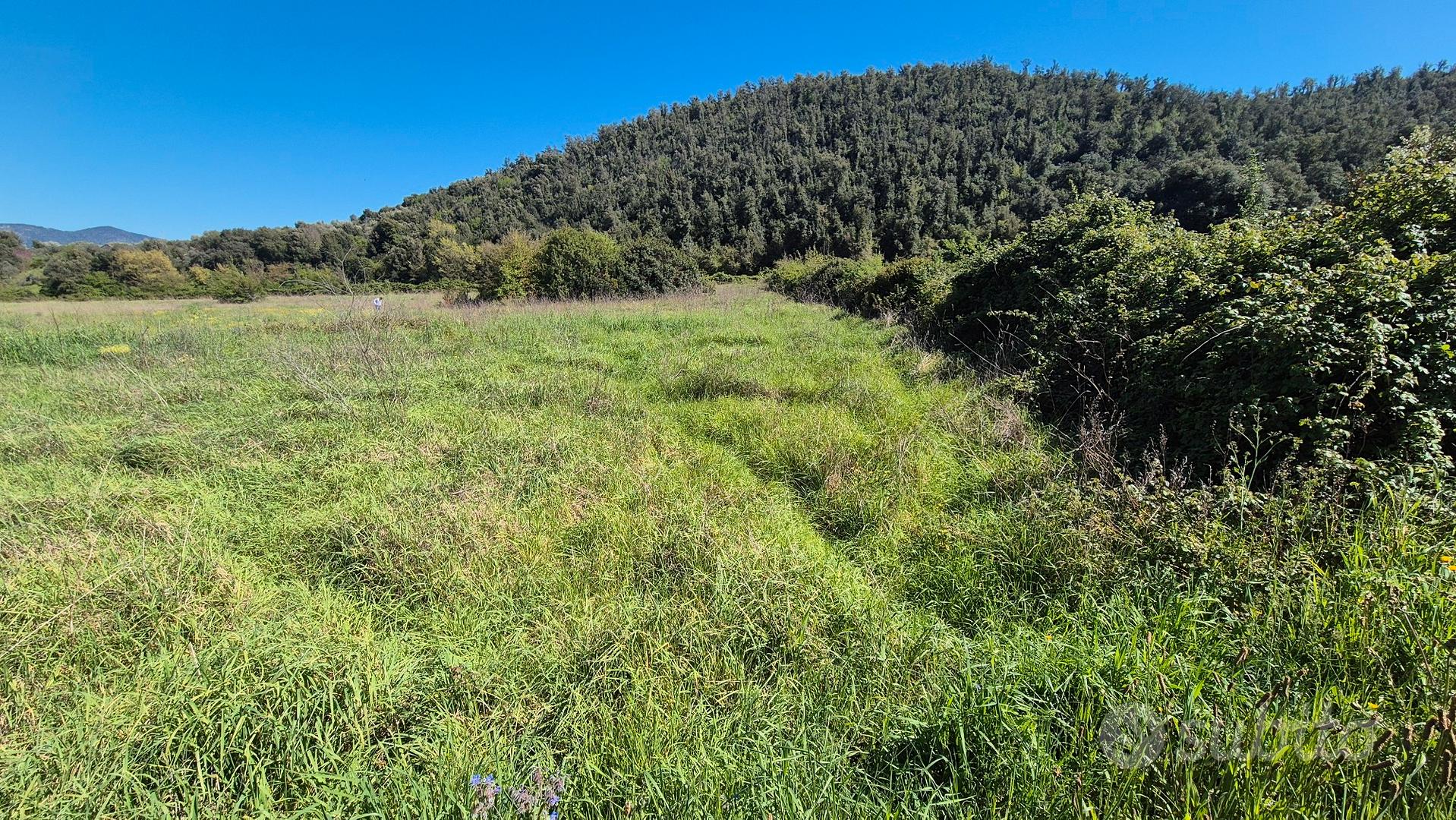 Terreno agricolo - Vista 4