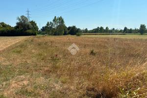 TER. AGRICOLO A CORBETTA
