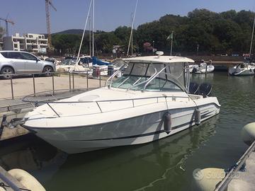 Hydra-Sports 2900 Vector anno 2007