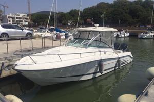 Hydra-Sports 2900 Vector anno 2007