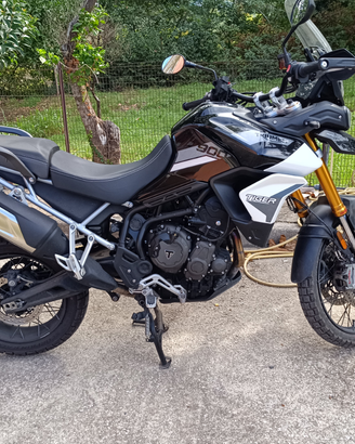 Tiger Triumph Rally