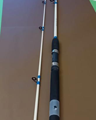 Canna spinning barca  ZEBCO *Cool solid 100/200gr