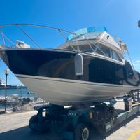 Barca Bertram 28 Fly