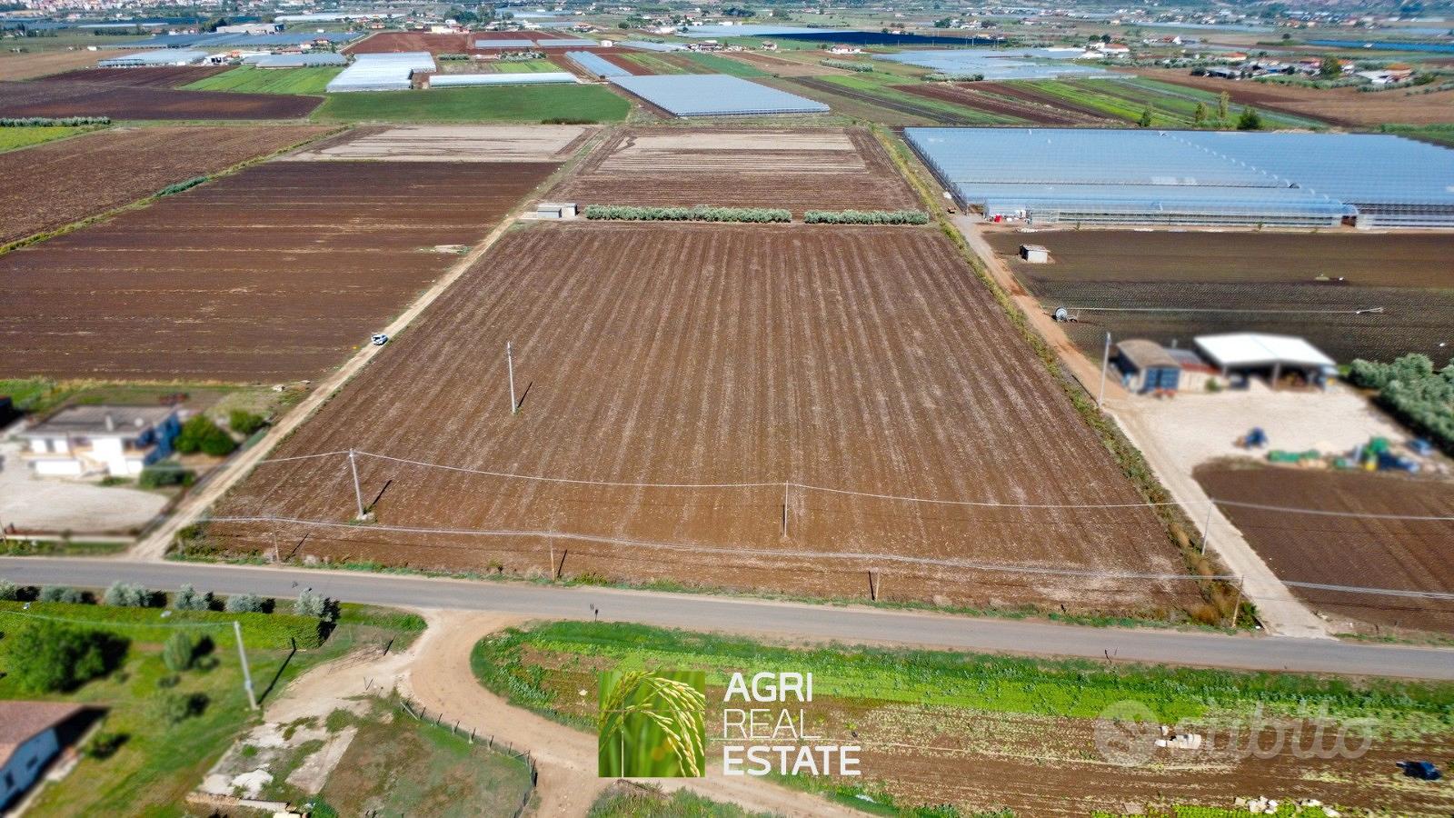 Terreno agricolo 7 HA fronte strada con magazzino - Vista 2