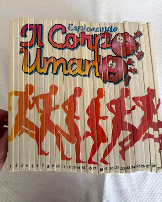 Esplorando il corpo umano