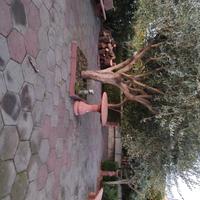 Mattonelle da giardino