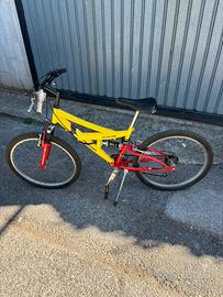 Bici Mountain Bike Regina Dakar - Usata - Ragazzo