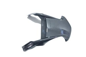 Tegolino dardo carbonio ducati monster