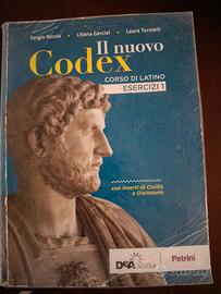Il nuovo codex 1