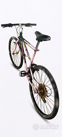 Mountain-bike