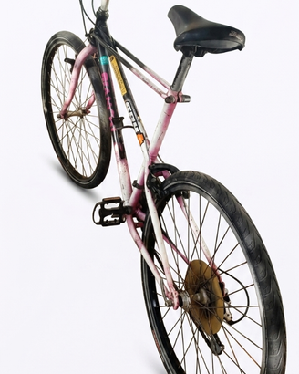 Mountain-bike