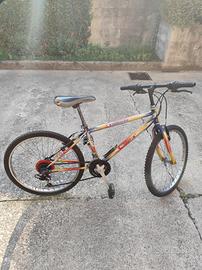 bicicletta per ragazzi 