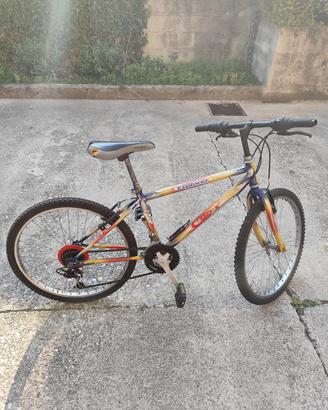 bicicletta per ragazzi 