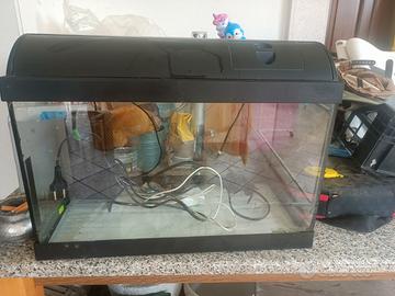 Acquario