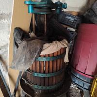 TORCHIO ,DIRASPATRICE  ,TINI GRANDI 