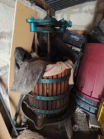 TORCHIO ,DIRASPATRICE  ,TINI GRANDI 