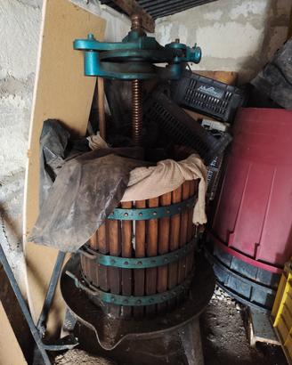 TORCHIO ,DIRASPATRICE  ,TINI GRANDI 