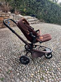 Jané Trider