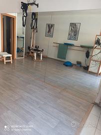 Palestrina in Centro Storico a Senigallia