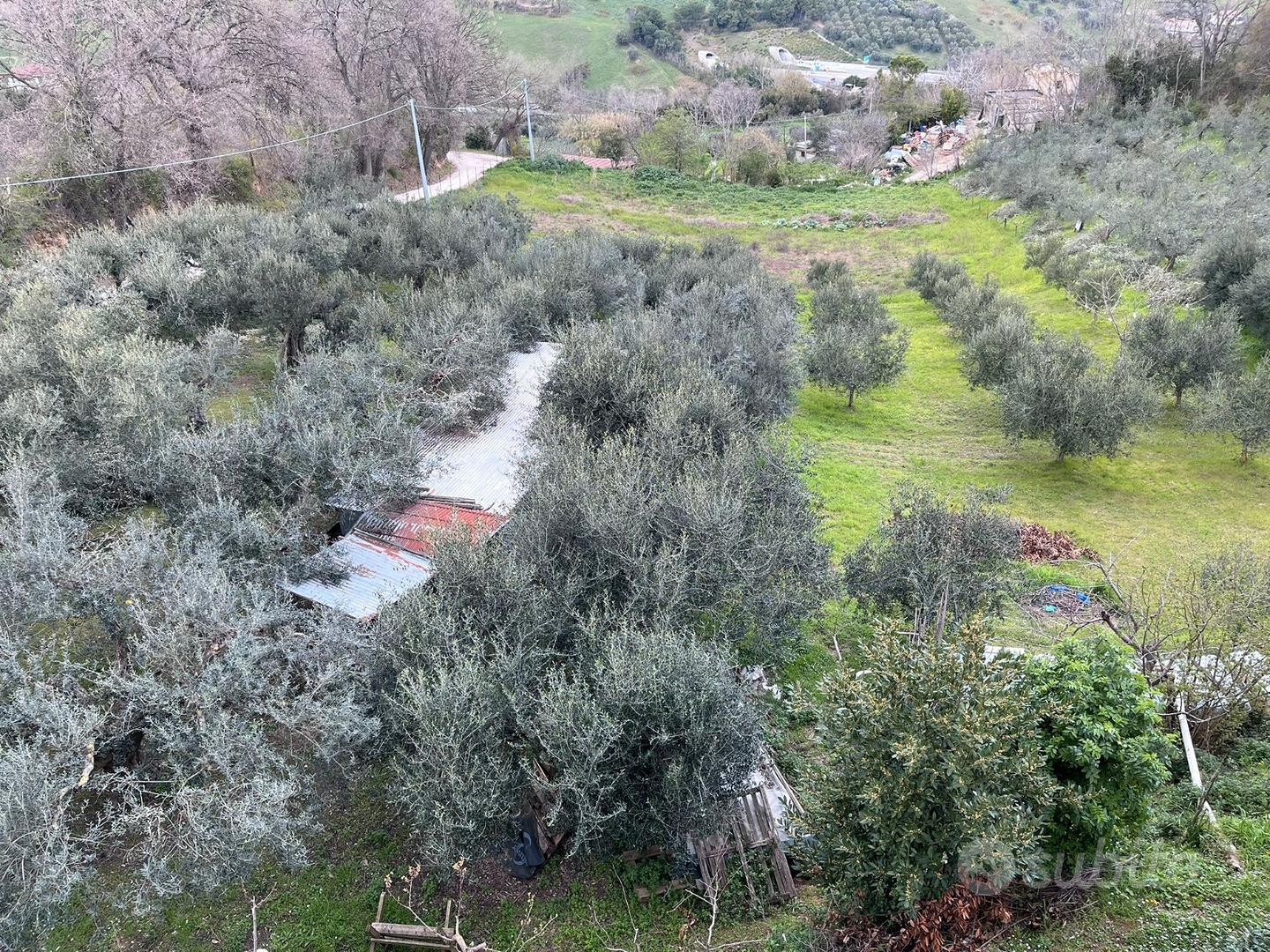 Terreno Edificabile Silvi Localita' Pianacce - Vista 2