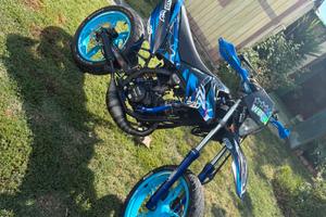 beta RR 50 motard