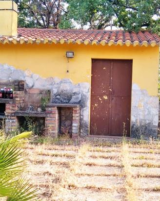 Rustico con terreno