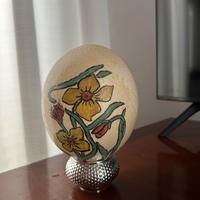 Uovo di struzzo