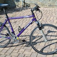 Bicicletta da trekking uomo