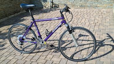 Bicicletta da trekking uomo