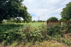 San cesareo: terreno agricolo di 5.000 mq